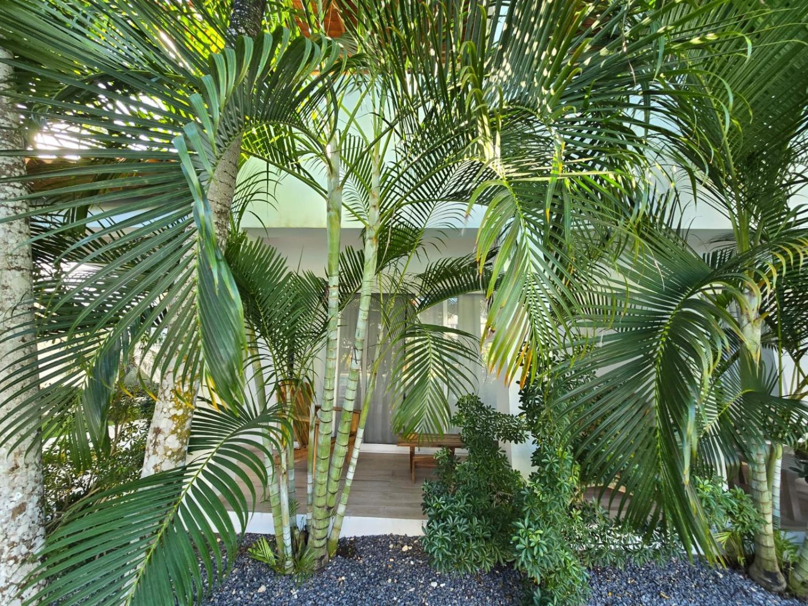 Residencial Paraiso בייהיבה מראה חיצוני תמונה