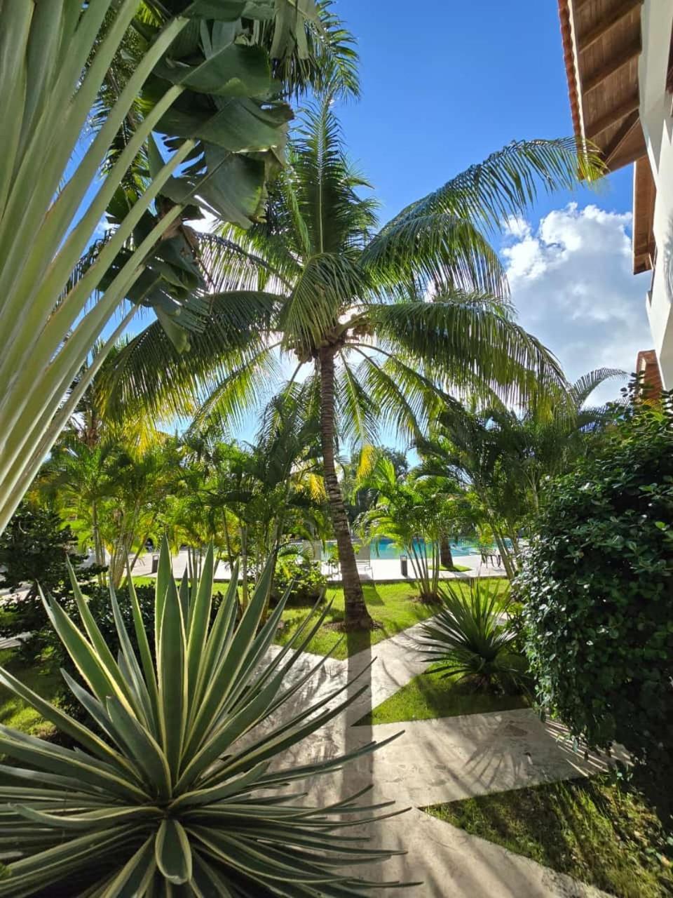 Residencial Paraiso בייהיבה מראה חיצוני תמונה